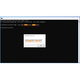 Установка ключа активации с помощью командной стоки
