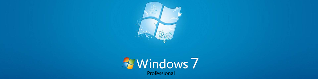 Microsoft Windows 7 Professional Large Logo