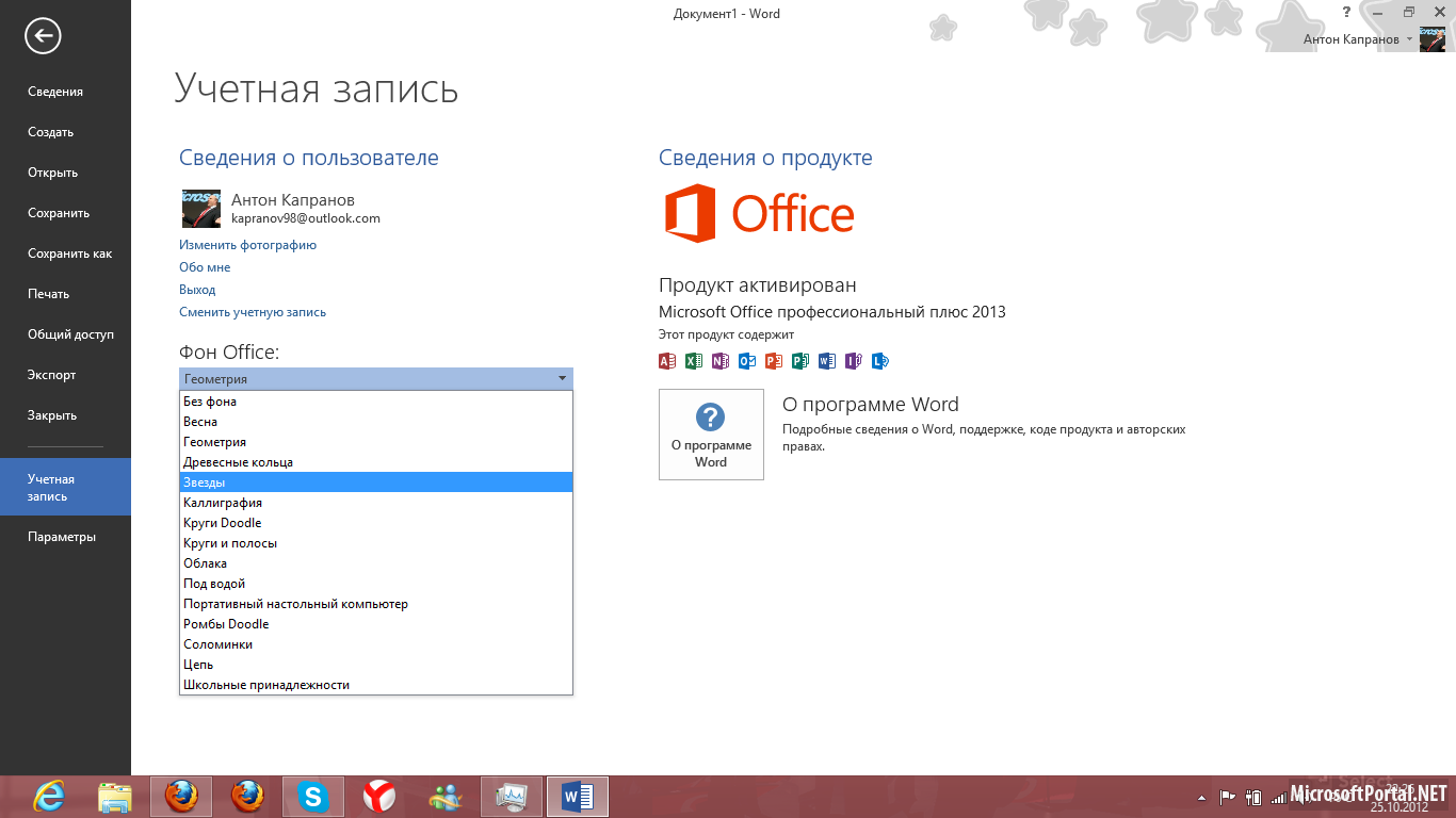 Microsoft Office 2013 Professional Plus Large Logo