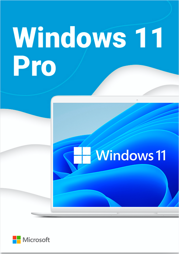 Download Windows 11 Professional 64 bit