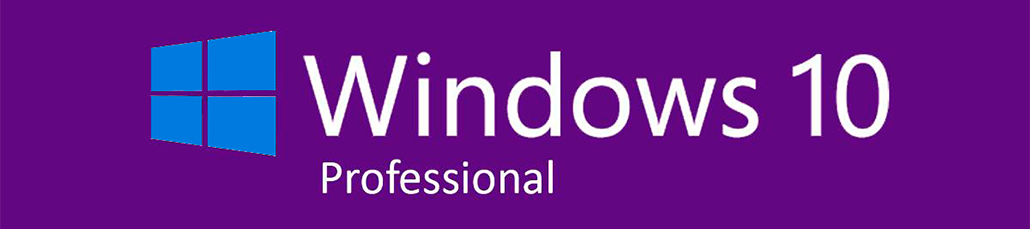 Windows 10 Pro Big Logo